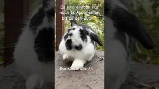 Ich freue mich so sehr!🥳                    #music #hiphop #love #like #artist #neuesvideo #bunny