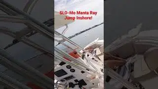SLO-Mo Manta Ray Jump in St Augustine