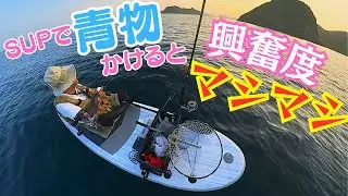 SUPフィッシング編：海面すれすれのSUPからのやり取りは刺激が強すぎて病みつきになる！
