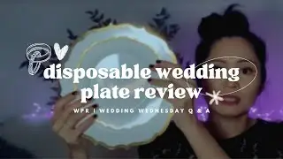 The Best Disposable Wedding Plates: Elegance | Convenience | Amscan Products Review