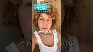 Want an animal communication reading? Beware of this! #shorts #pets #psychicreading