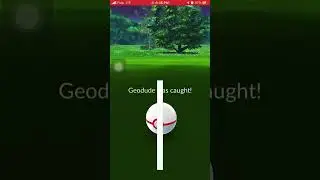 Shiny shadow Geodude!/Le geodude d&rsquo;ombre shiny!