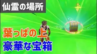 葉っぱの上で仙霊「3体」を追いかけ豪華な宝箱　ヴァナラーナ　仙霊の場所　ギミック解説　スメール　【ver3.0攻略】　原神　Genshin impact