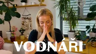 Vodnáři - To podstatné teď | Tarotový výklad | Leden | Únor 2026