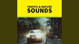 Traffic Wave