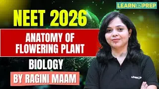 Anatomy of Flowering Plant  Lec. 4 | Biology Chapter Explained | By Ragini Ma'am | LearnNPrep