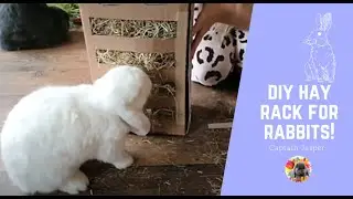 DIY HAY RACK FOR RABBITS!