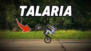 У меня есть ТАЛАРИЯ! (Убийца Сурронов)