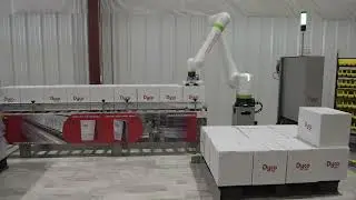 Automatic Collaborative Case or Box Palletizer