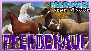 Wir KAUFEN das neue MARWARI 🐴 neue RASSE 💗 Star Stable Pferdekauf [SSO]