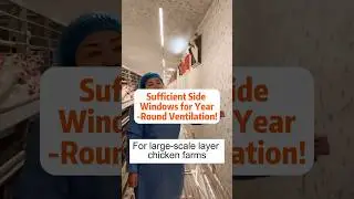 🌡️Sufficient Side Windows for Year-Round Ventilation!