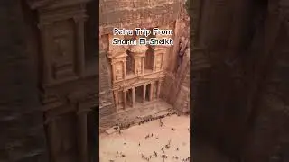 Petra Trip overday from Sharm El-Sheikh.  whatsapp +201009858531, Mario Tour- Excursions in Egypt