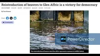 Excerpt from the National &ldquo;Reintroduction of beavers to Glen Affric is a victory for democracy&rdquo;