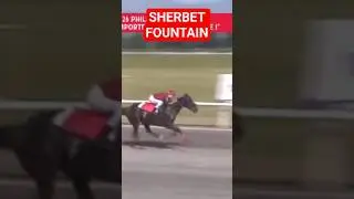 SHERBET FOUNTAIN wins the 4yr old above imported/local challenge #youtubeshorts #horseracing #dehado