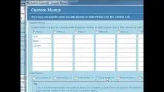 CRM Custom Fields