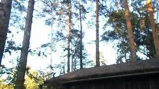 Testing rotator with Radiosonde Auto_rx software