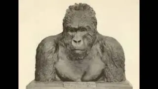 Carl Akeley