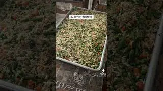 Dog food people food rice peas pork shoulder spinach green beans carrots