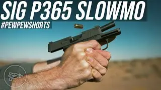 SIG P365 Muzzle Rise: 240FPS Slow Motion [Pew Pew Shorts]