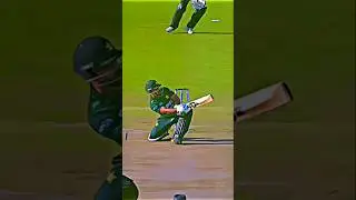 Power-Packed PerformanceSensational Strokeplay