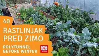 Priprava rastlinjaka na jesen in zimo - Vrt Obilja EP40