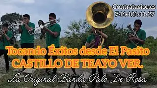 La Original Banda Palo De Rosa 2025 Tocando en el Pasito Castillo de Teayo Ver. 