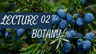 Botany - Lecture 02 (Flowers, Fruits and Seed)