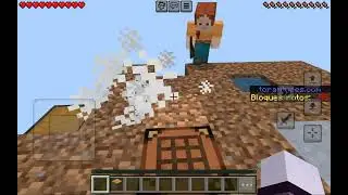 Surviving minecraft