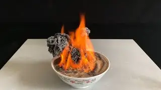 Chemistry experiment: Egyptian Pharaoh's Snake
