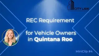 REC Requirement for Vehicle Owners in Quintana Roo | CityLaw