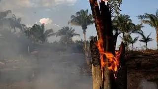 Wildfires raging in the Amazon have hit a record number this year