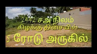 LAND From Salem | 5Roads