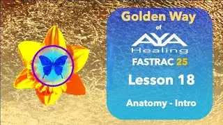 Golden Way of Aya Healing Fastrac Lesson 18 Anatomy Intro