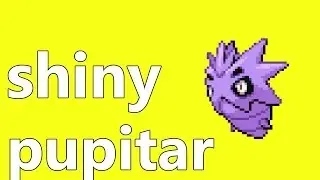 catch shiny pupitar