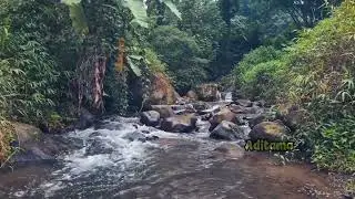ALIRAN SUNGAI DARI MATA AIR GUNUNG UNGARAN SUARANYA TERASA NYAMAN UNTUK DI DENGAR WAKTU ISTIRAHAT