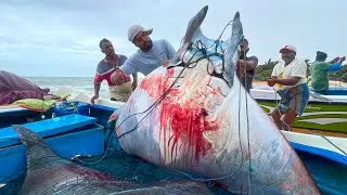 INSANE Double Catch of Two 200KG Giant Manta Rays at a Rural Village Beachside Market