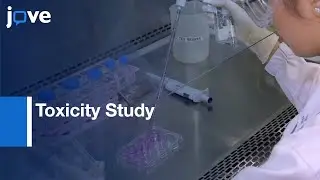Toxicity Study of Zinc Oxide Nanoparticles | Protocol Preview