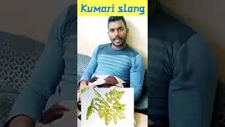 Kumari Slang#shorts#kanniyakumari #kanniyakumarislang#funnyvideo