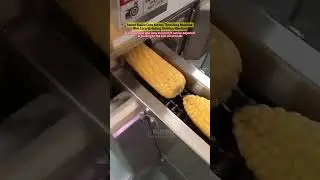 Commercial Fresh Corn Sheller Thresher Machine/Industrial Corn Stripping Shelling Machine #corn