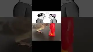хз #music #chessmusic #roblox #pokemon #dance #pokemongo #chess #tiktok #chesstypebeat #реки