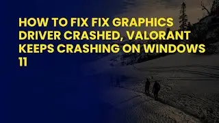 How to Fix Fix Graphics Driver Crashed, Valorant Keeps Crashing on Windows 11