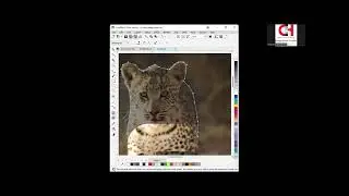 Best Graphic Design Online Courses || #shorts #video #tutorial