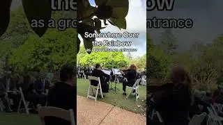 Somewhere Over the Rainbow - Sedici String TRIO @AtlBotanicalGarden #weddingmusic #stringtrio