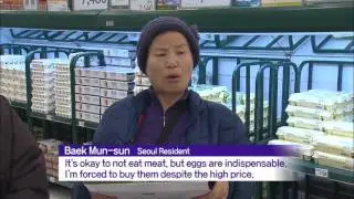 Egg Shortages