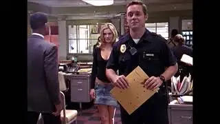 The Shield - Return of Tulips