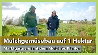 Gemüsebau mit Mulch - mit dem MulchTec Planter | Projekt Mulchanbau | Bin im Garten | Teil 1