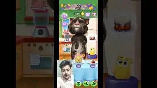 MY Talking Tom #shorts #live #trending #viraltom #funnycat #satisfying