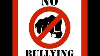 Bully Defense Program VSL
