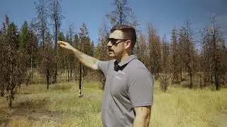 Parks Levy: Fire Fuels Reduction