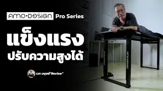 AMO DESIGN Pro Series Electric Height Adjustable Desk with 2 Motors